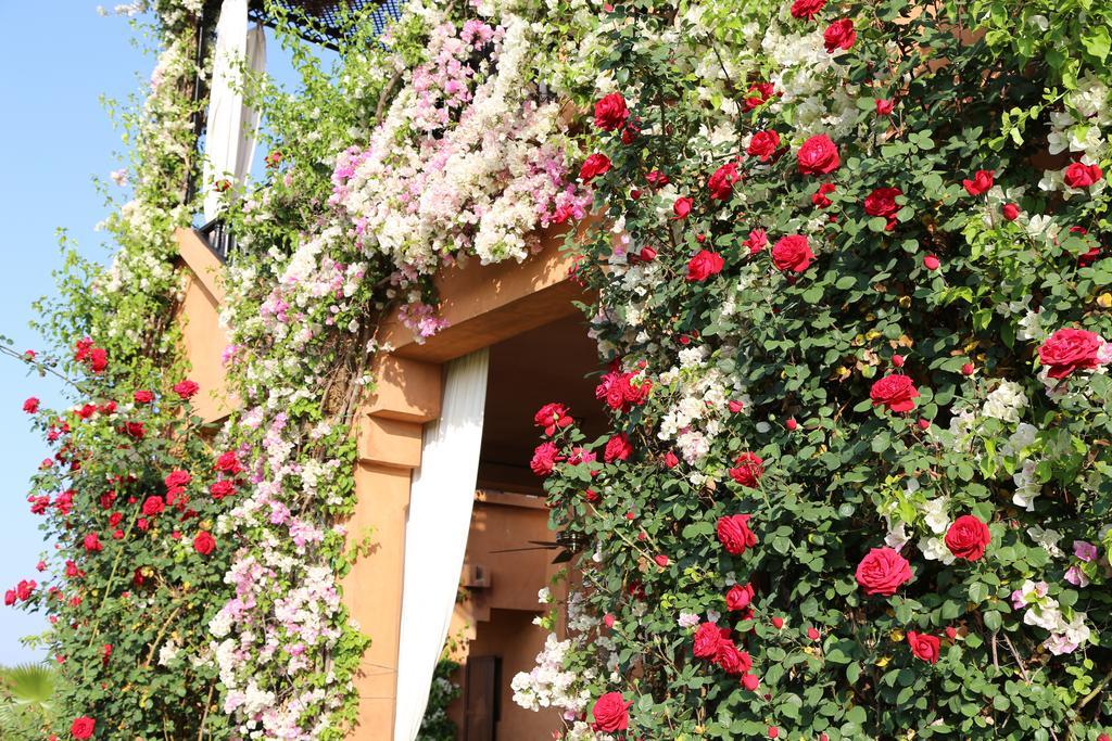Riad Al Mendili Private Resort & Spa Had Abdallah Rhiat Eksteriør billede