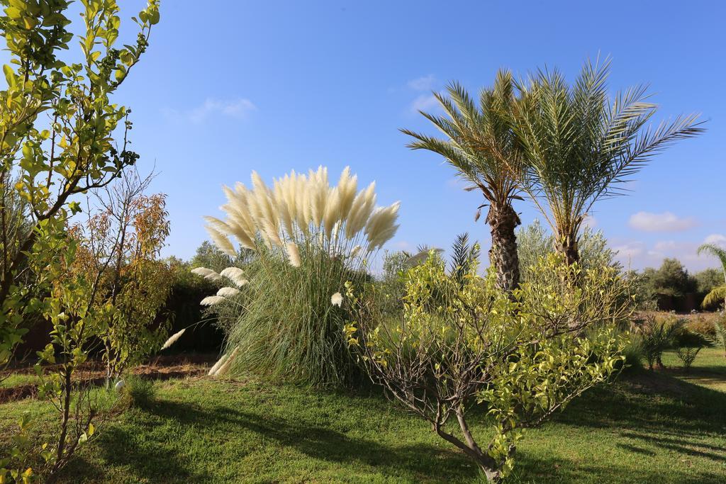 Riad Al Mendili Private Resort & Spa Had Abdallah Rhiat Eksteriør billede