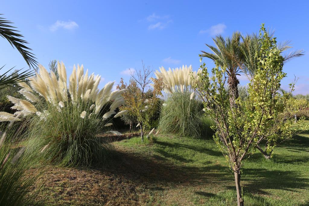 Riad Al Mendili Private Resort & Spa Had Abdallah Rhiat Eksteriør billede