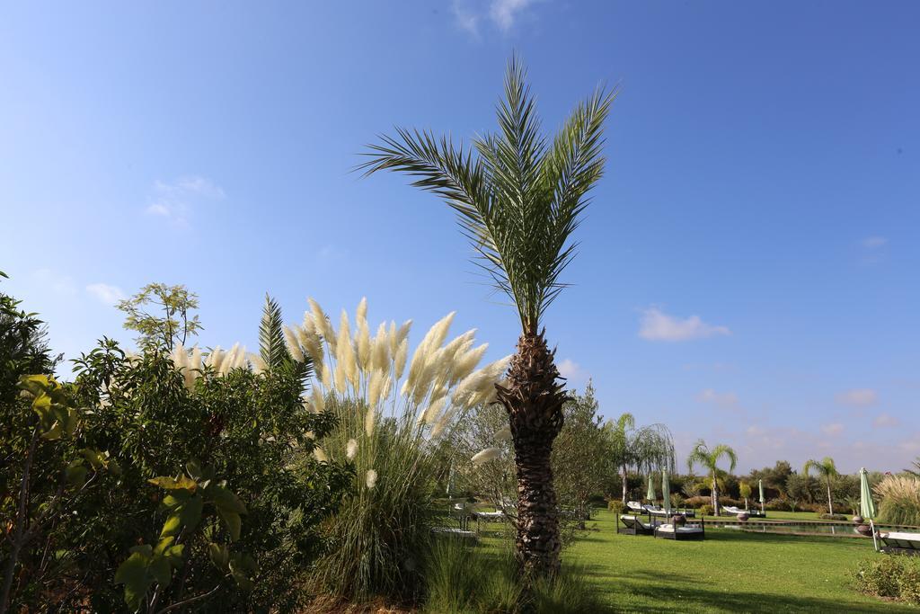 Riad Al Mendili Private Resort & Spa Had Abdallah Rhiat Eksteriør billede