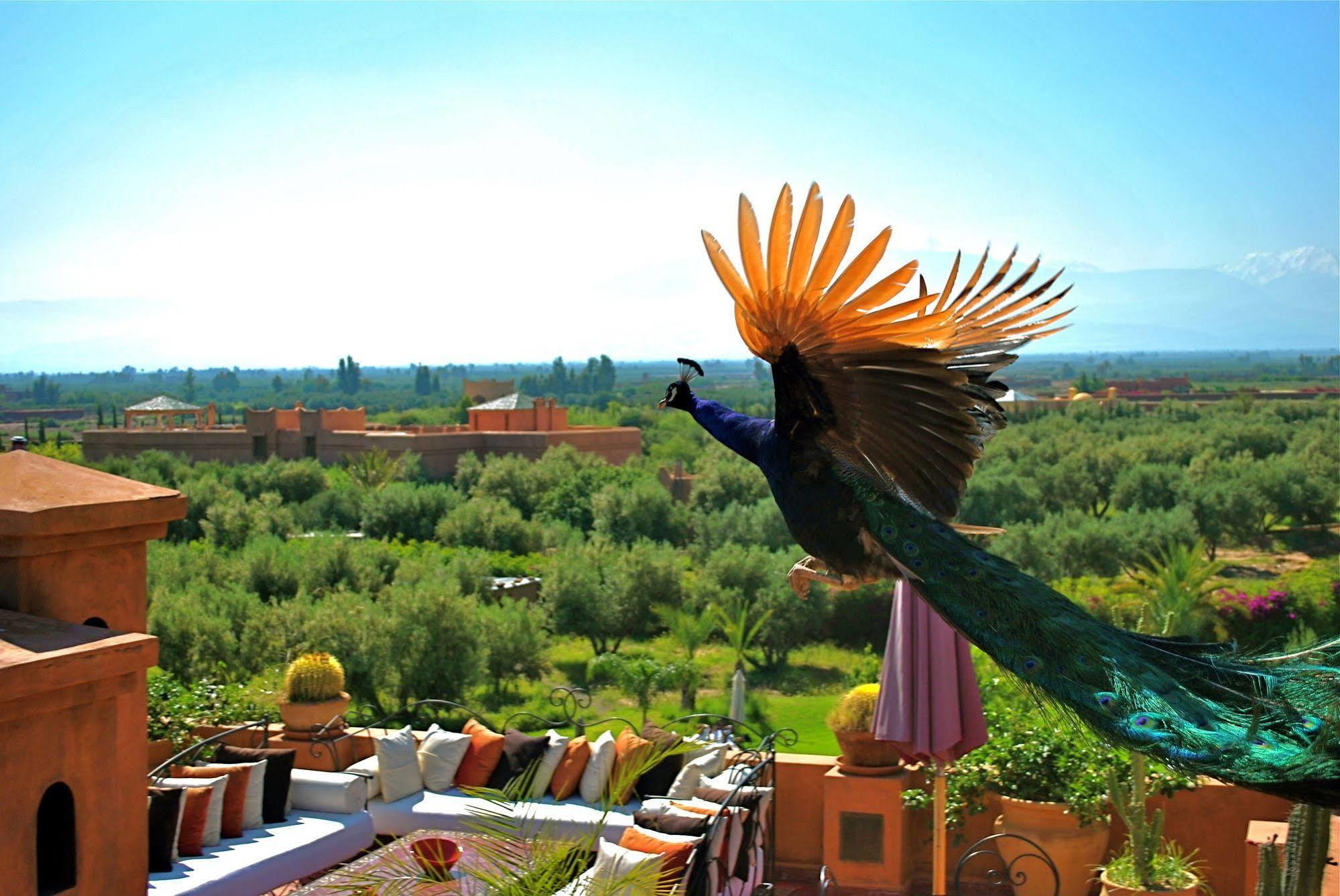 Riad Al Mendili Private Resort & Spa Had Abdallah Rhiat Eksteriør billede